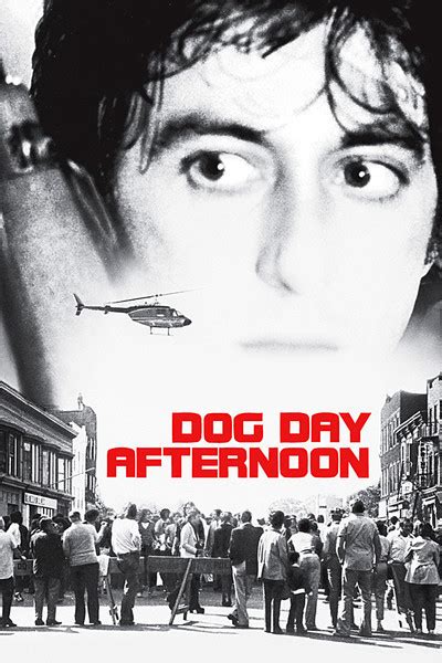 dog day afternoon porn|StepSiblingsCaught Haley Reed .